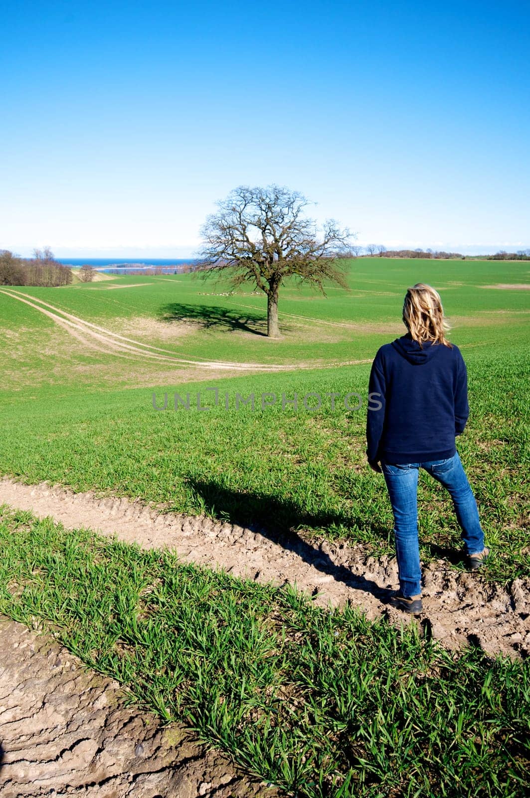 grüne Wiese