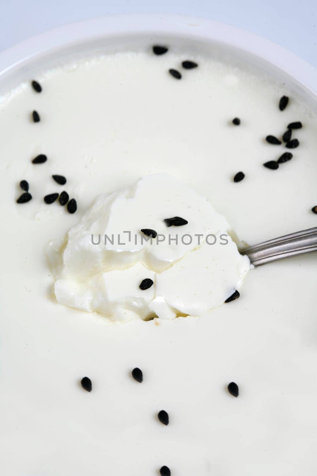 freshness yoghurt