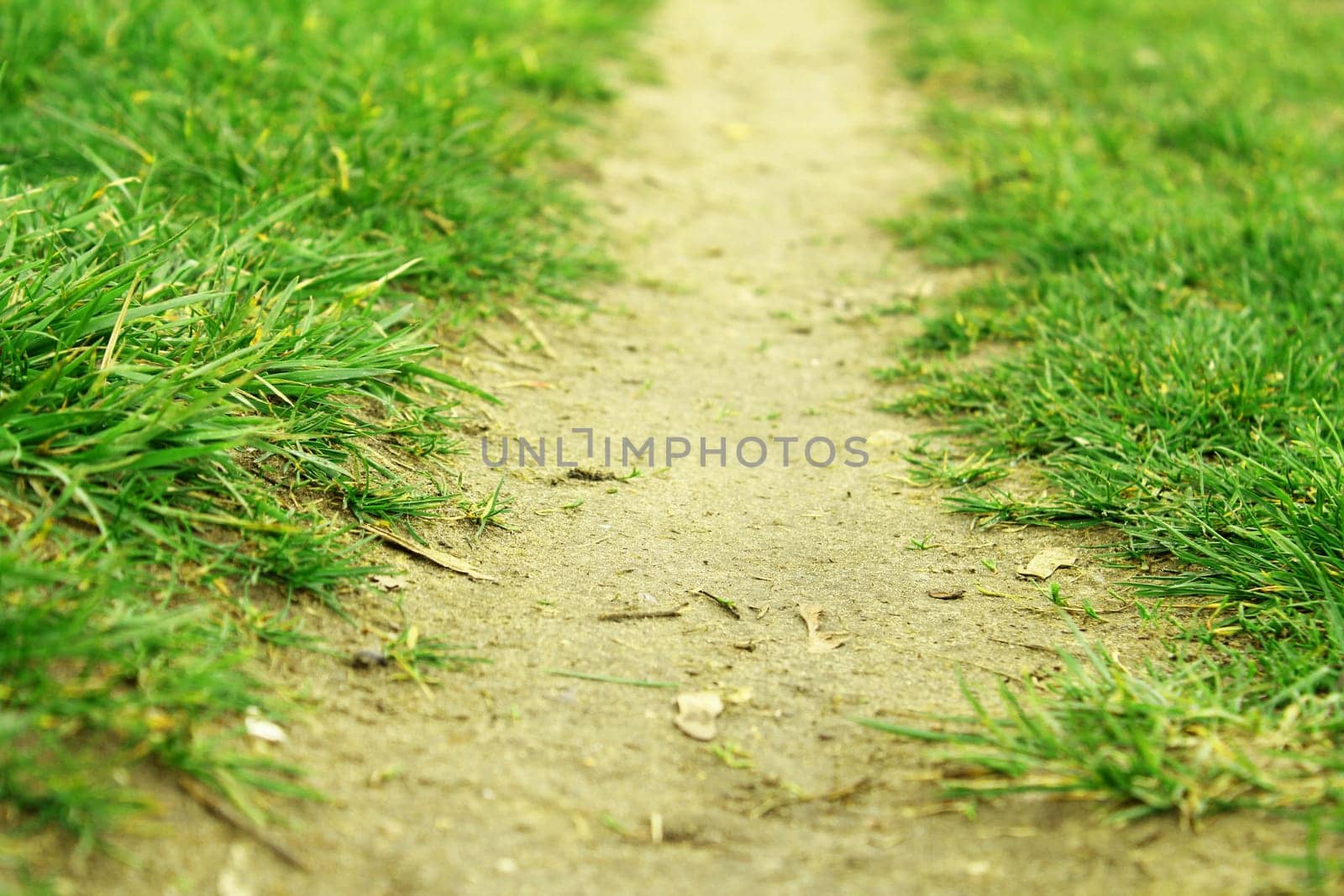 path