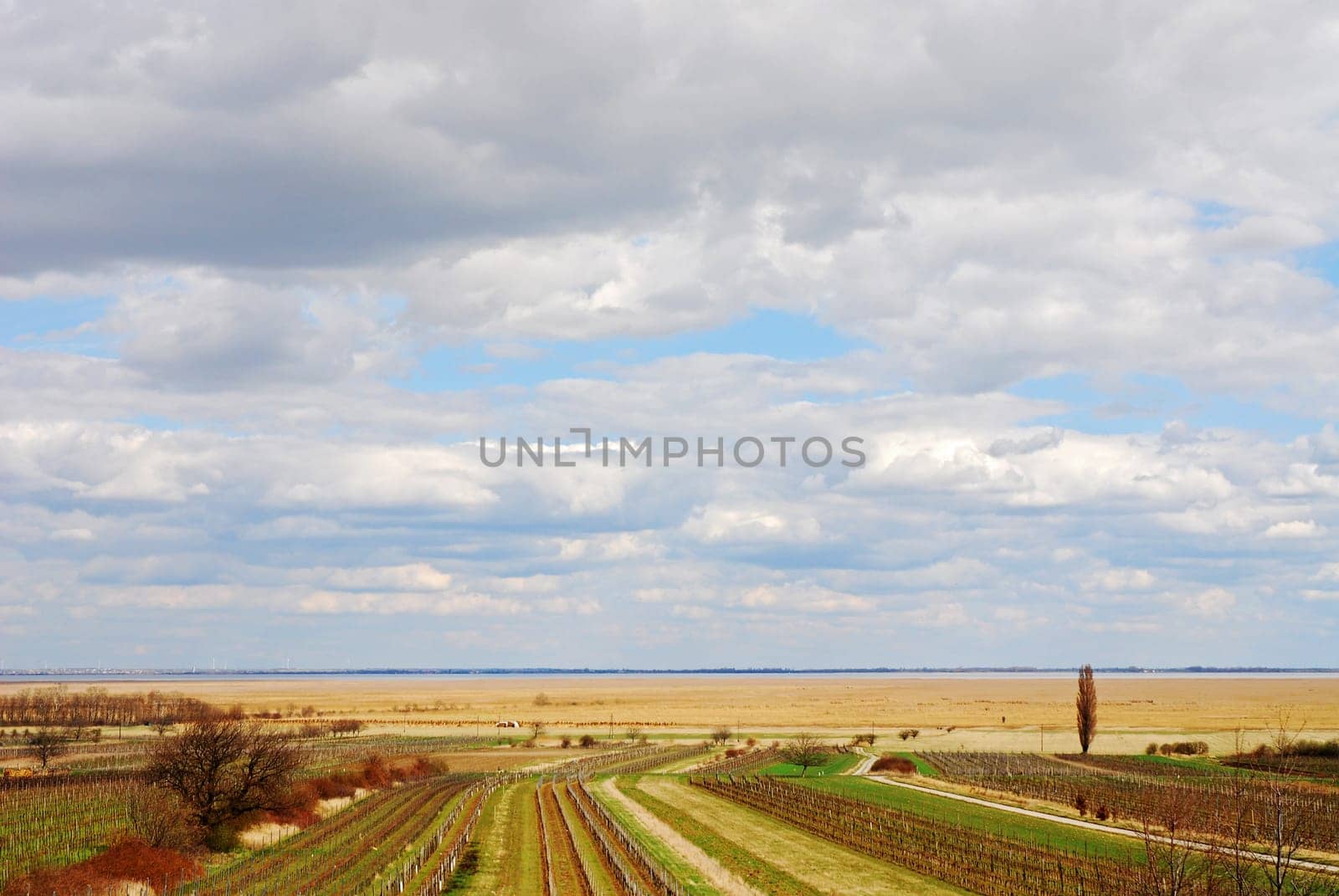 Landscape by the lake