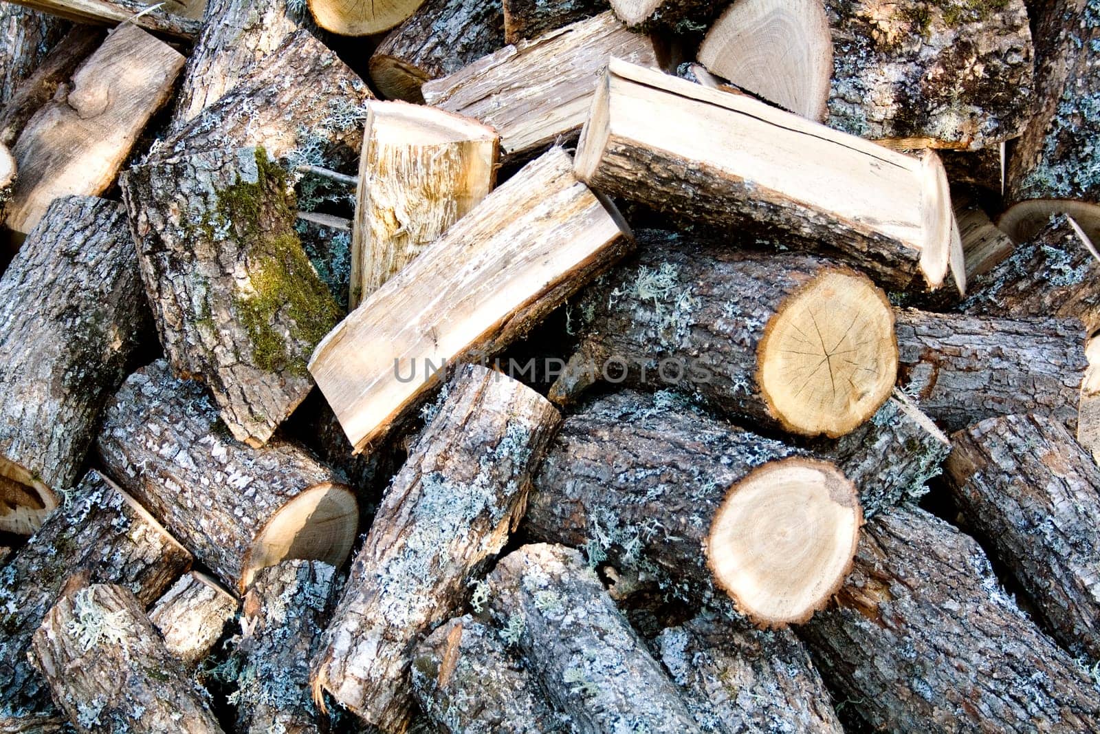 Oak fire wood