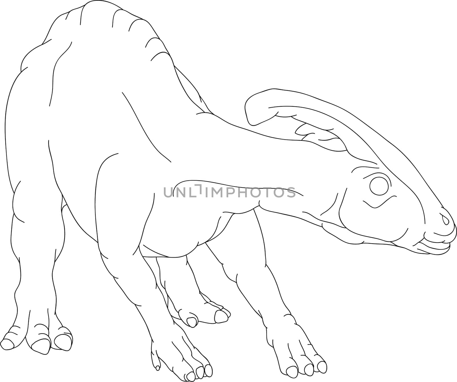 dino