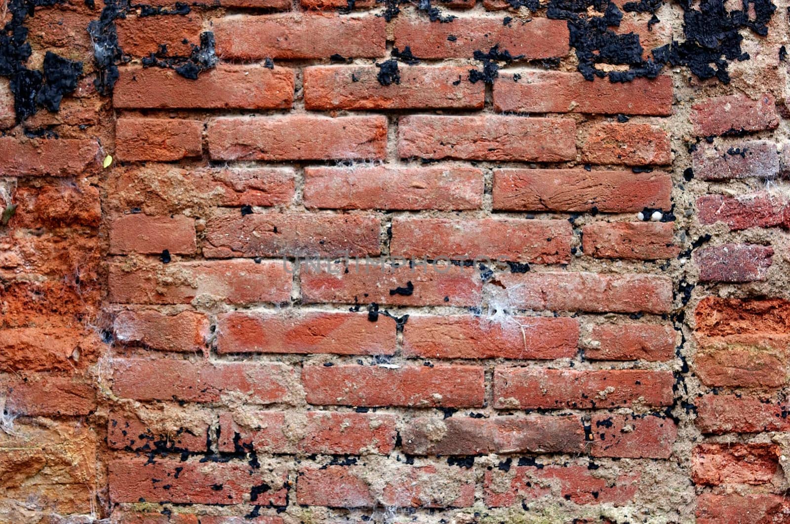 old grunge wall