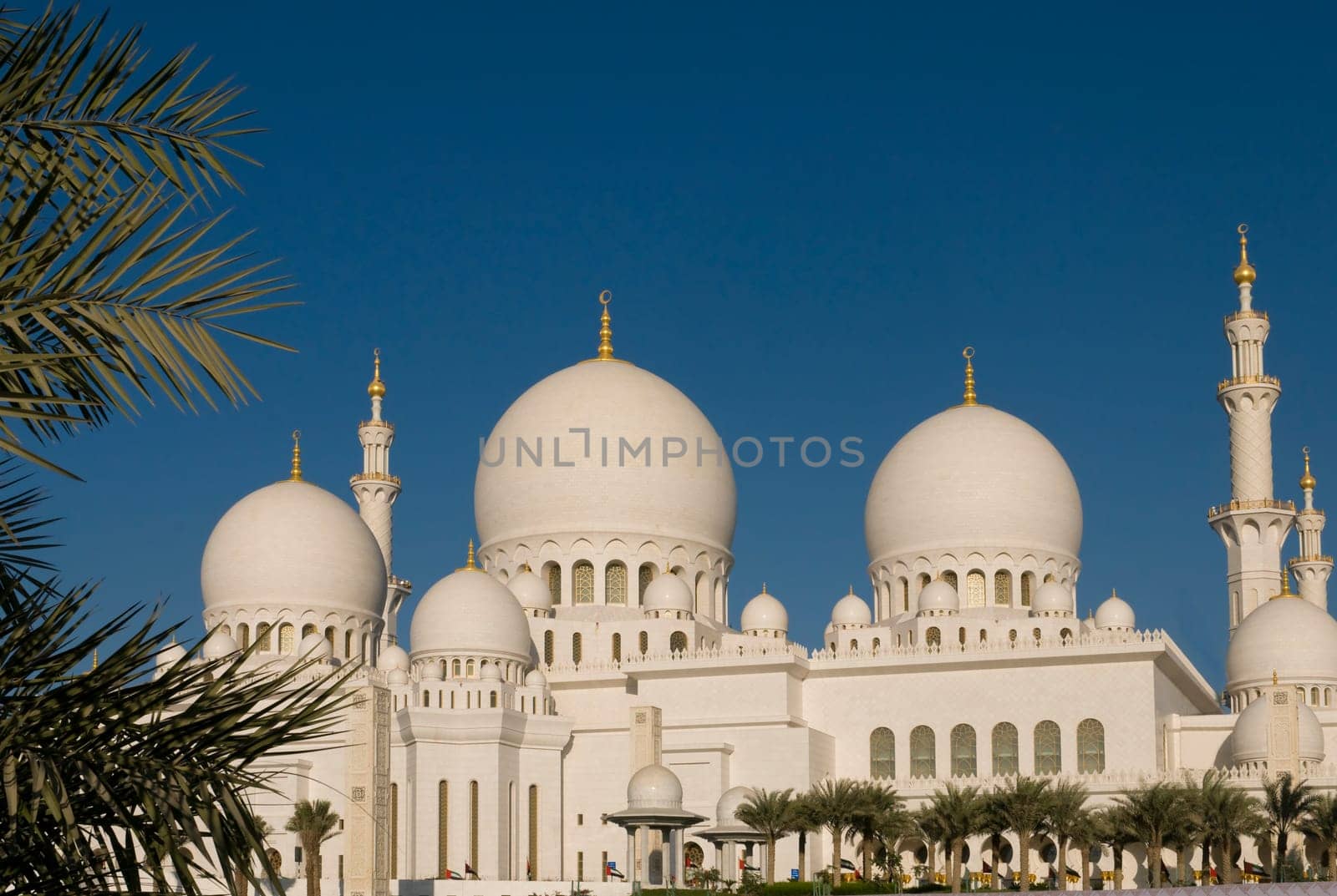 Abu Dhabi Mosque,UAE