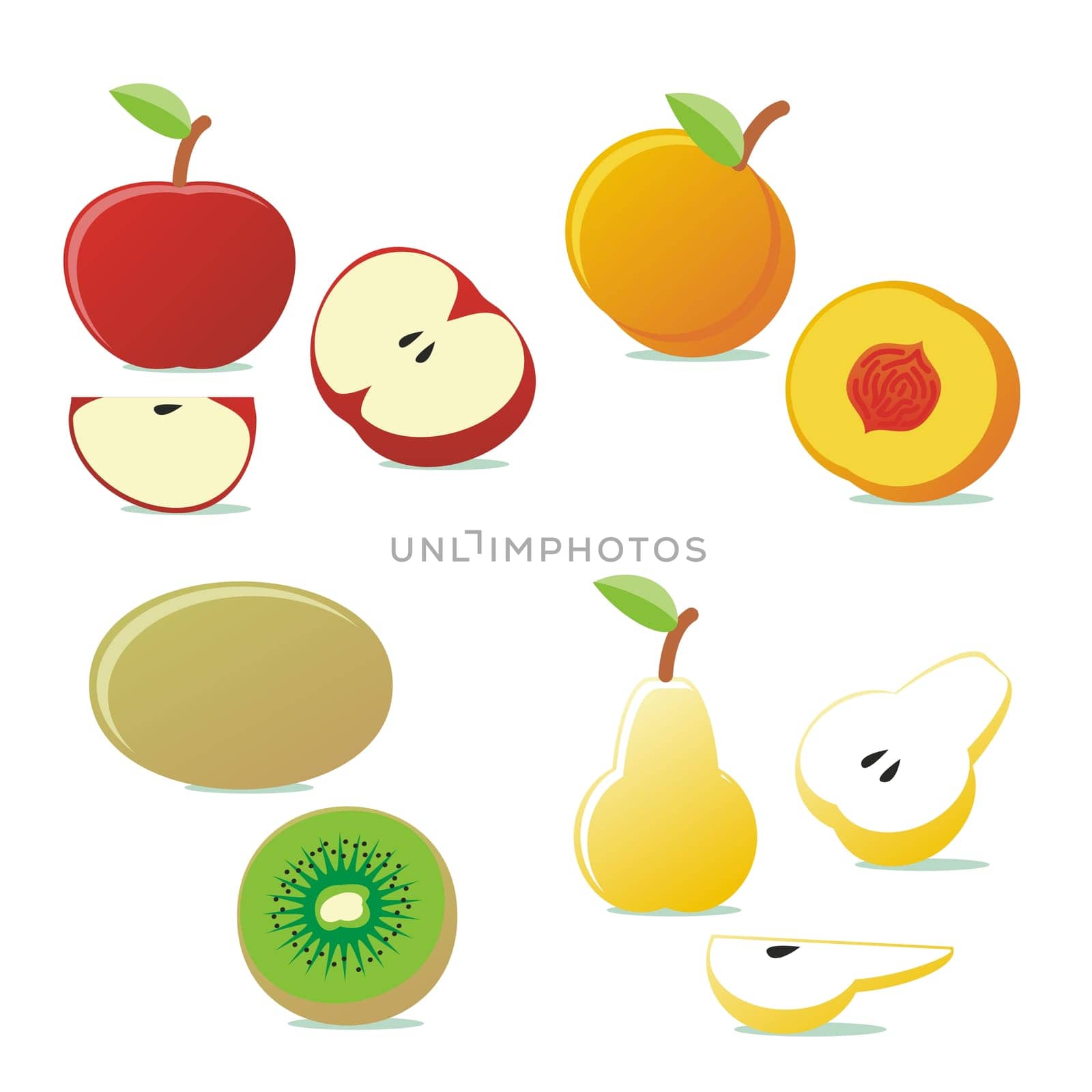 vector isolated fruits