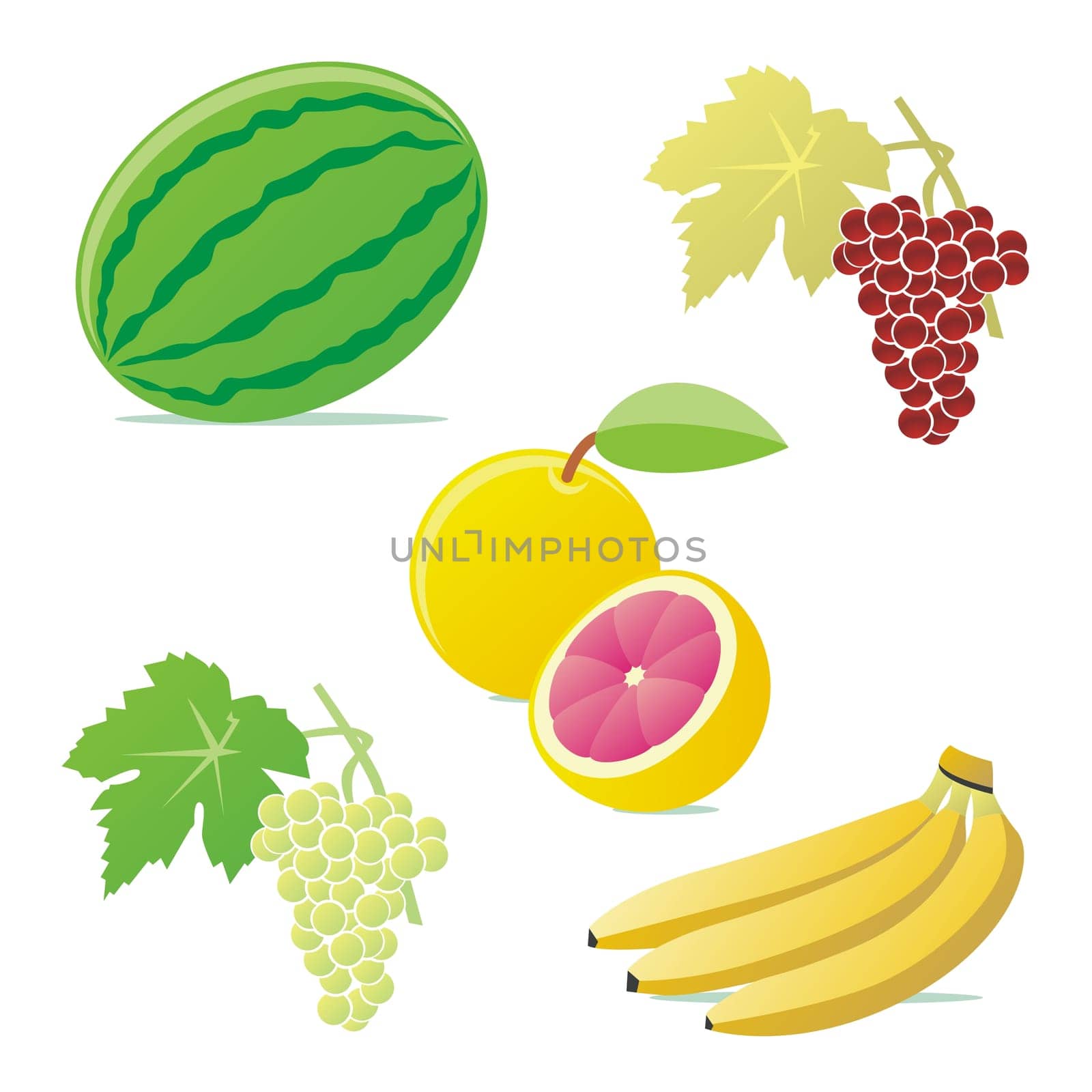 vector fruits