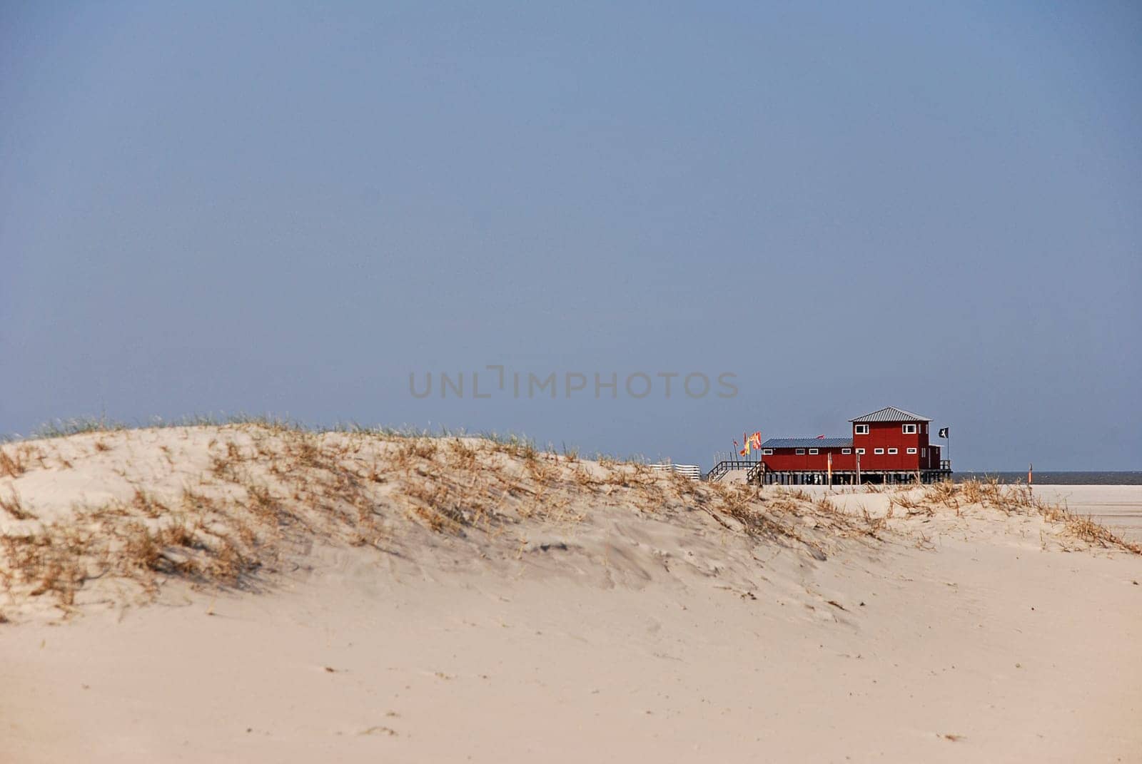 Dune House