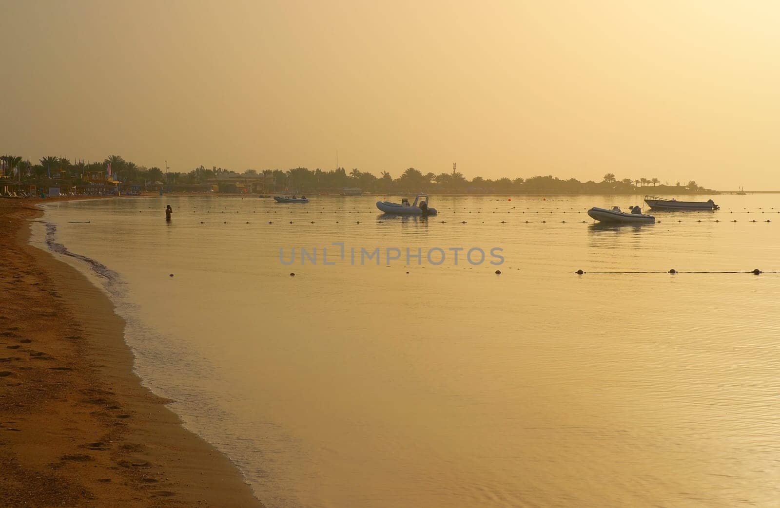 Morning has gold in its mouth