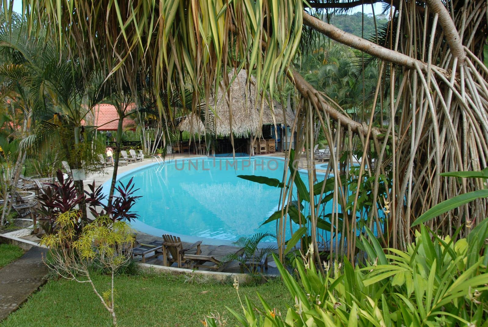 Holiday resort in the tropics with pool