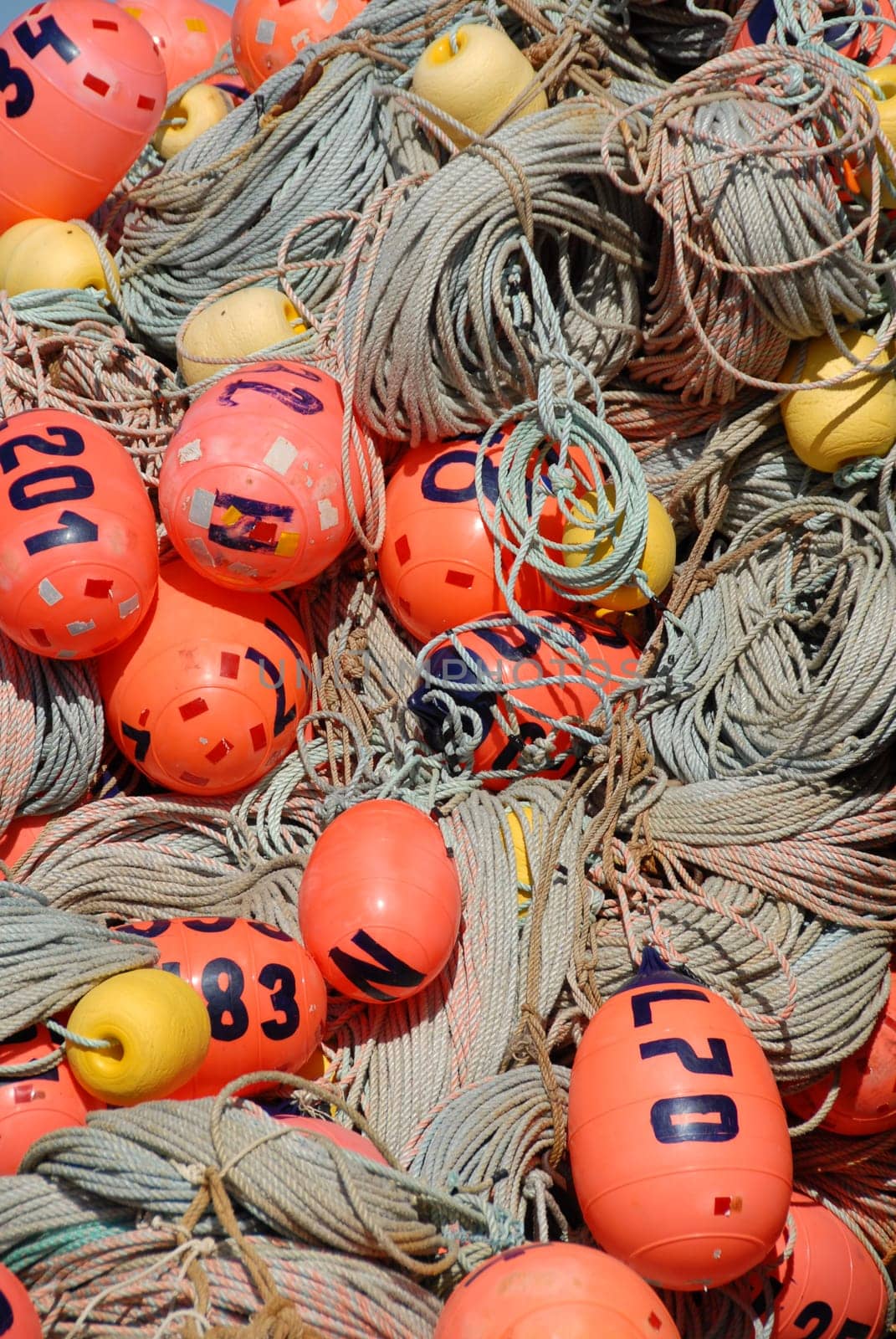 Ropes and buoys