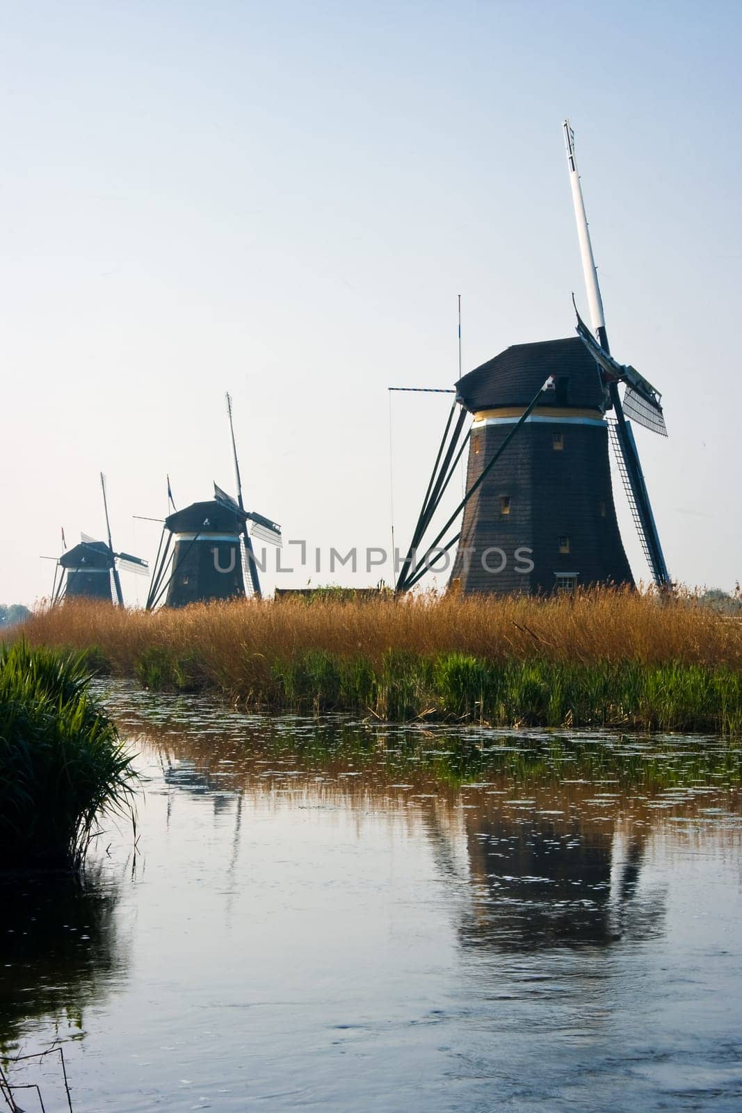 Dutch watermills with reflection