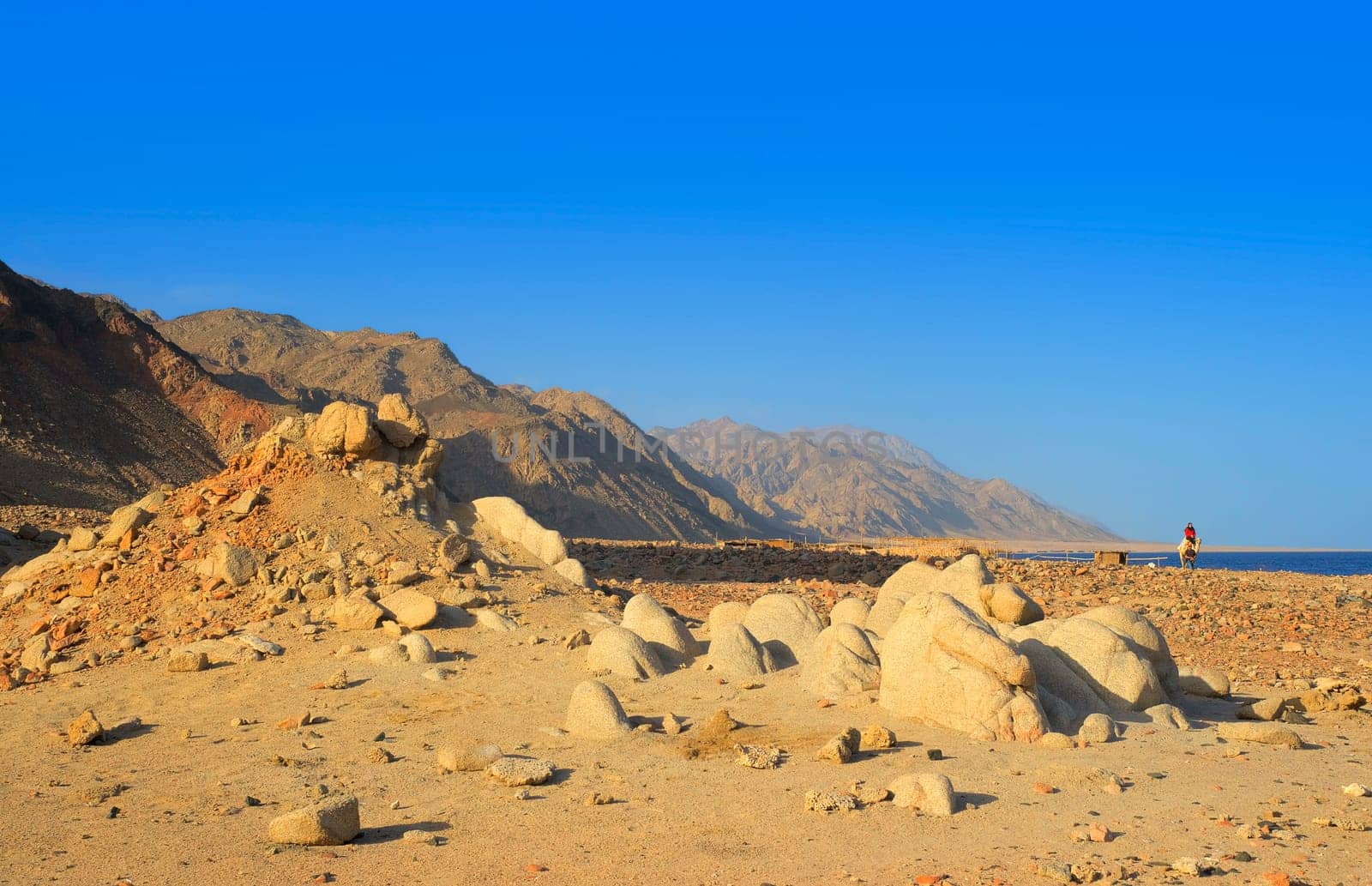 Desert coast in Southeast Sinai