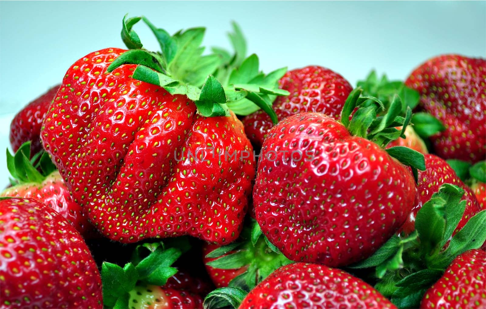 Fresh strawberries