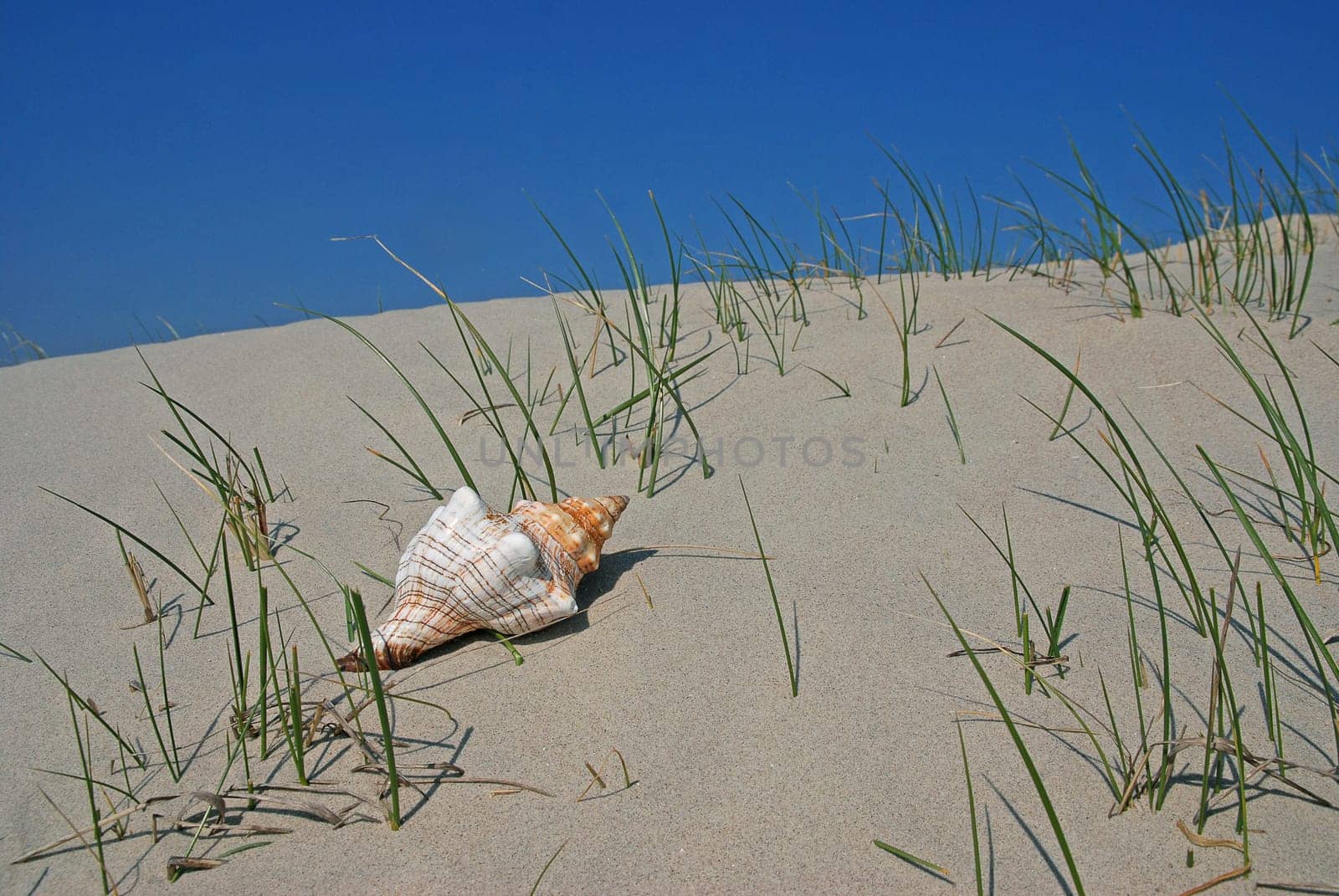 Beach shelter