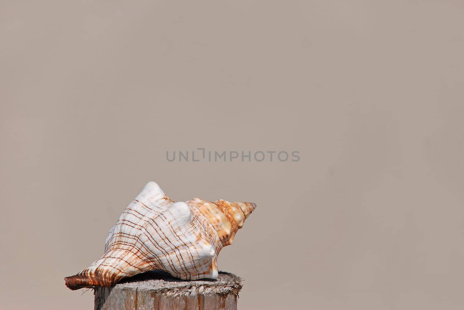 Beach shelter