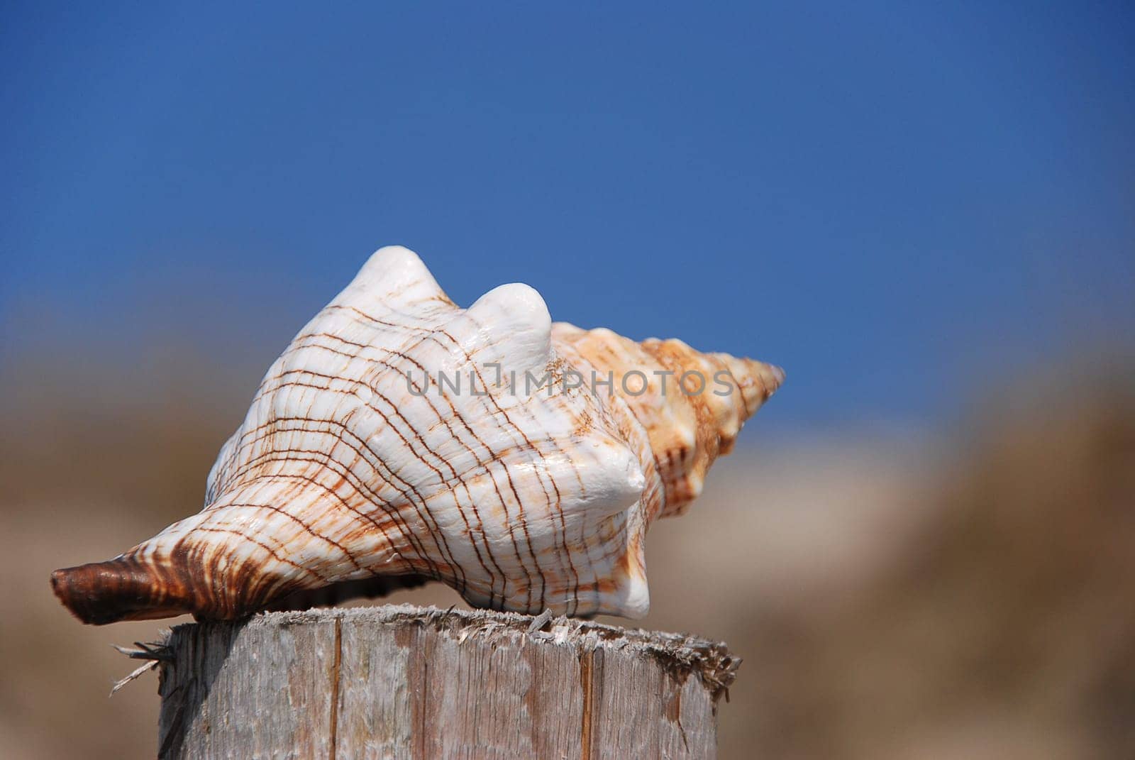 Beach shelter