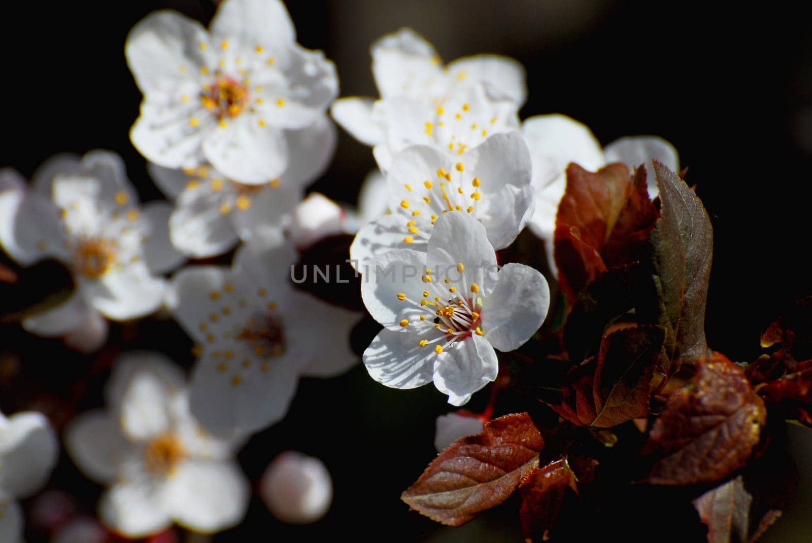 Spring is here
