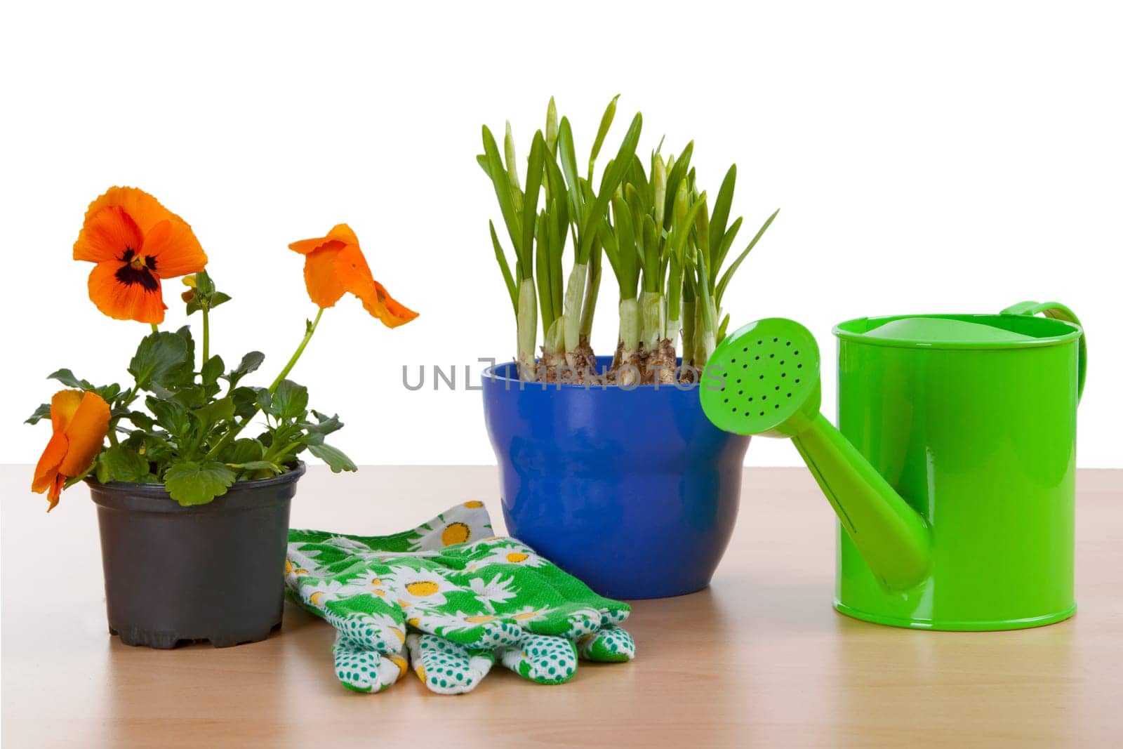 Harbingers of Spring