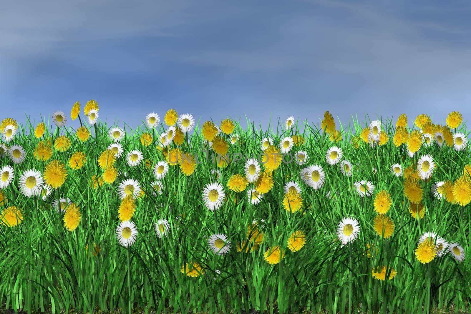 Flower meadow