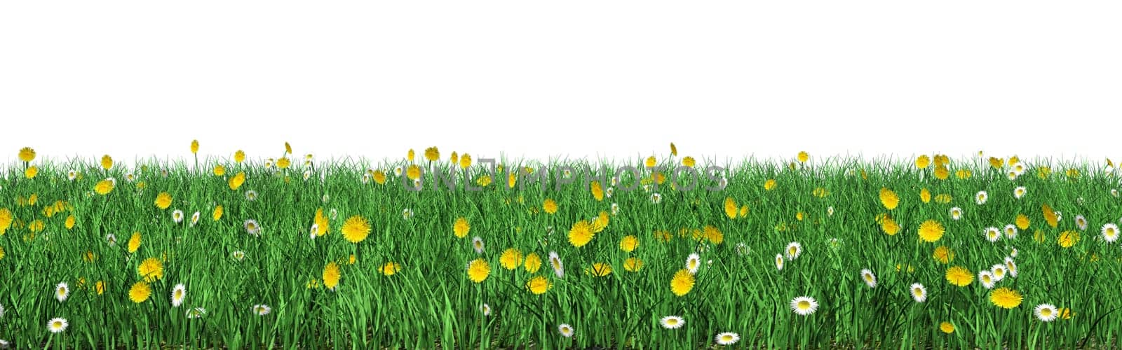 Flower meadow optionally