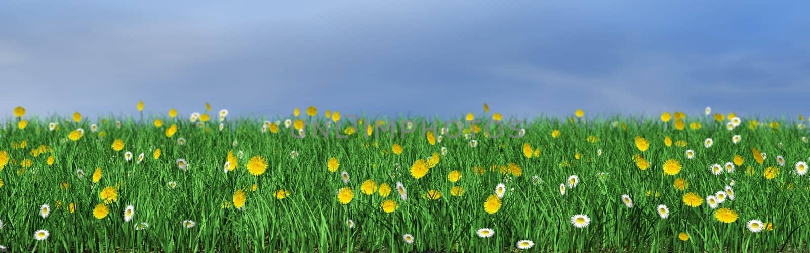 Flower meadow - illustration
