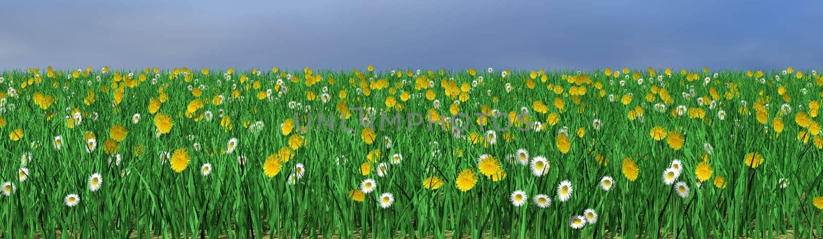 Flower meadow - illustration