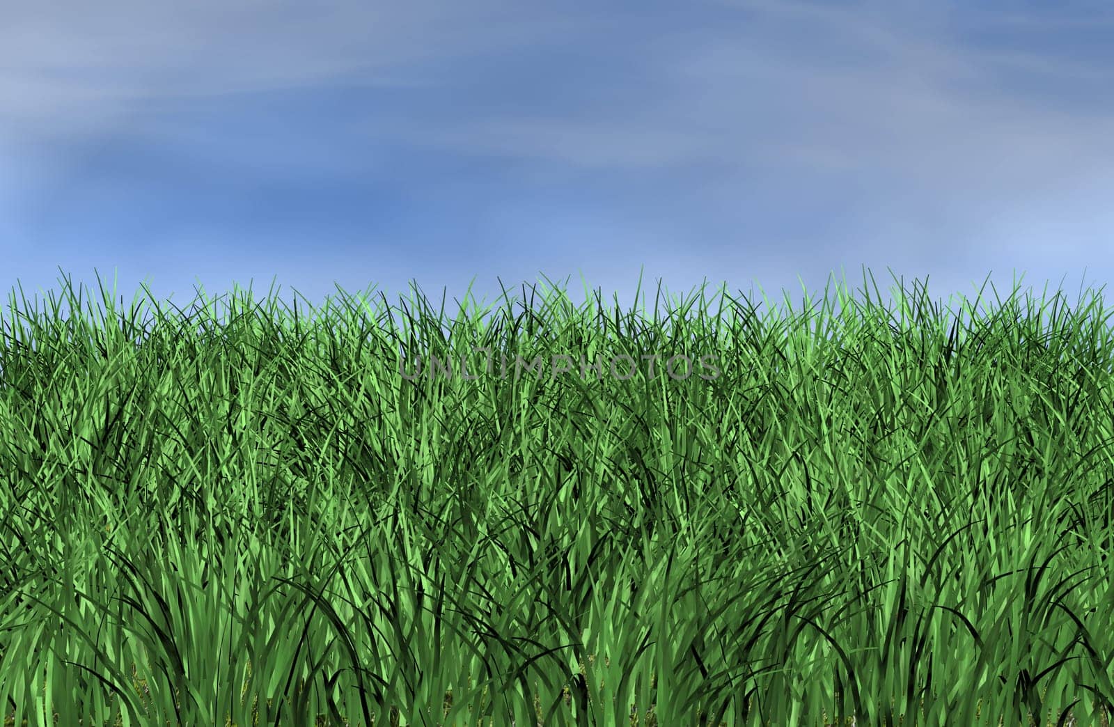 green meadow