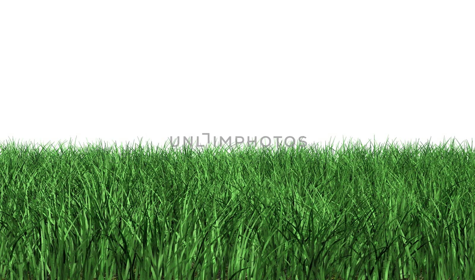 green meadow