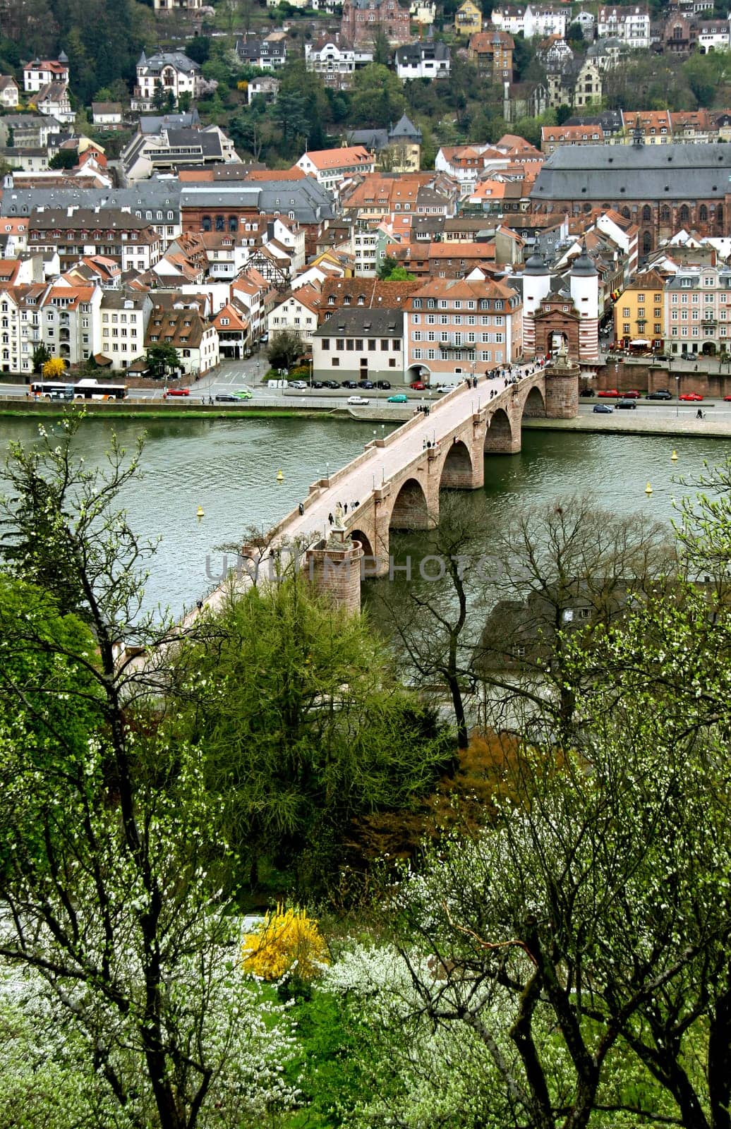 Heidelberg in spring