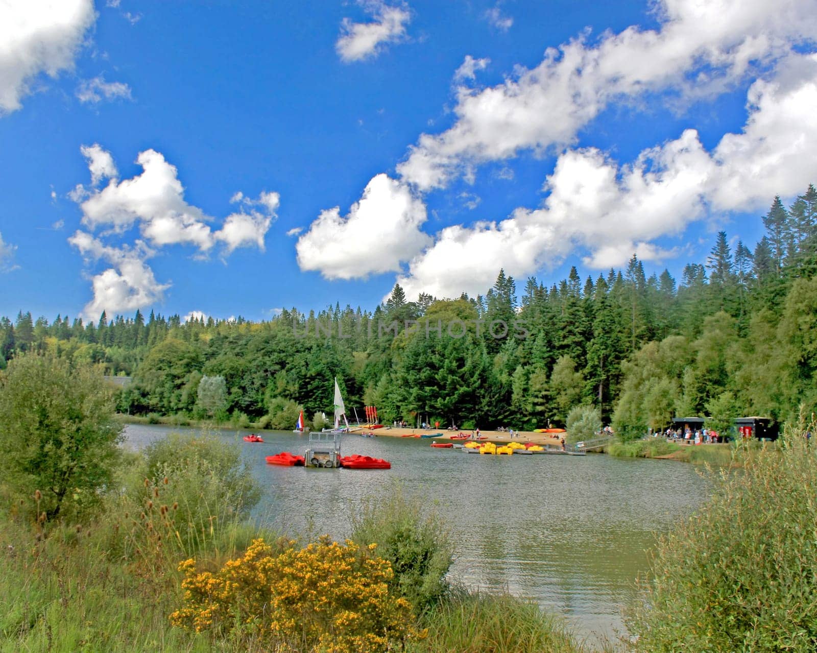 Countryside Lake