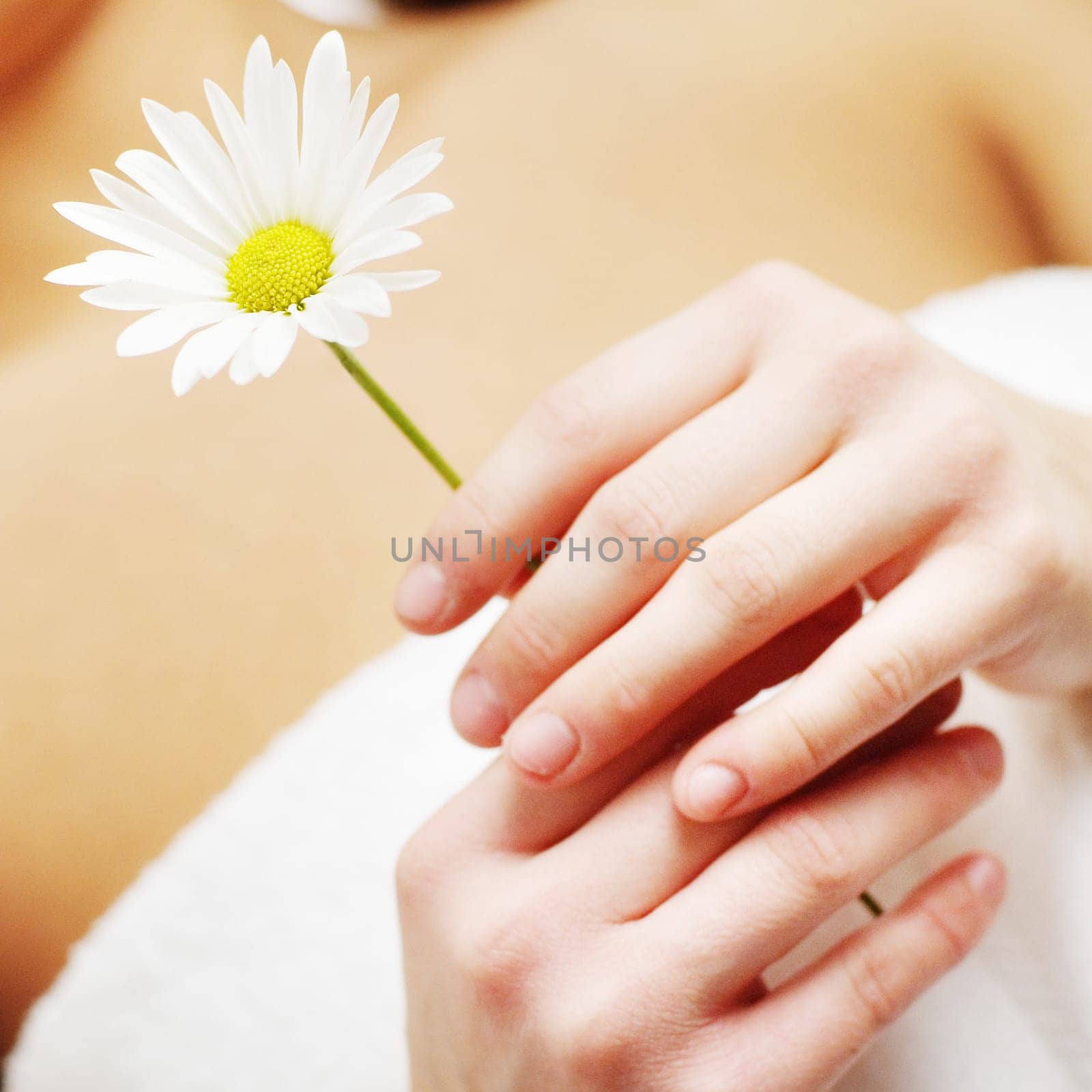 Beautiful Woman Holding a Flower