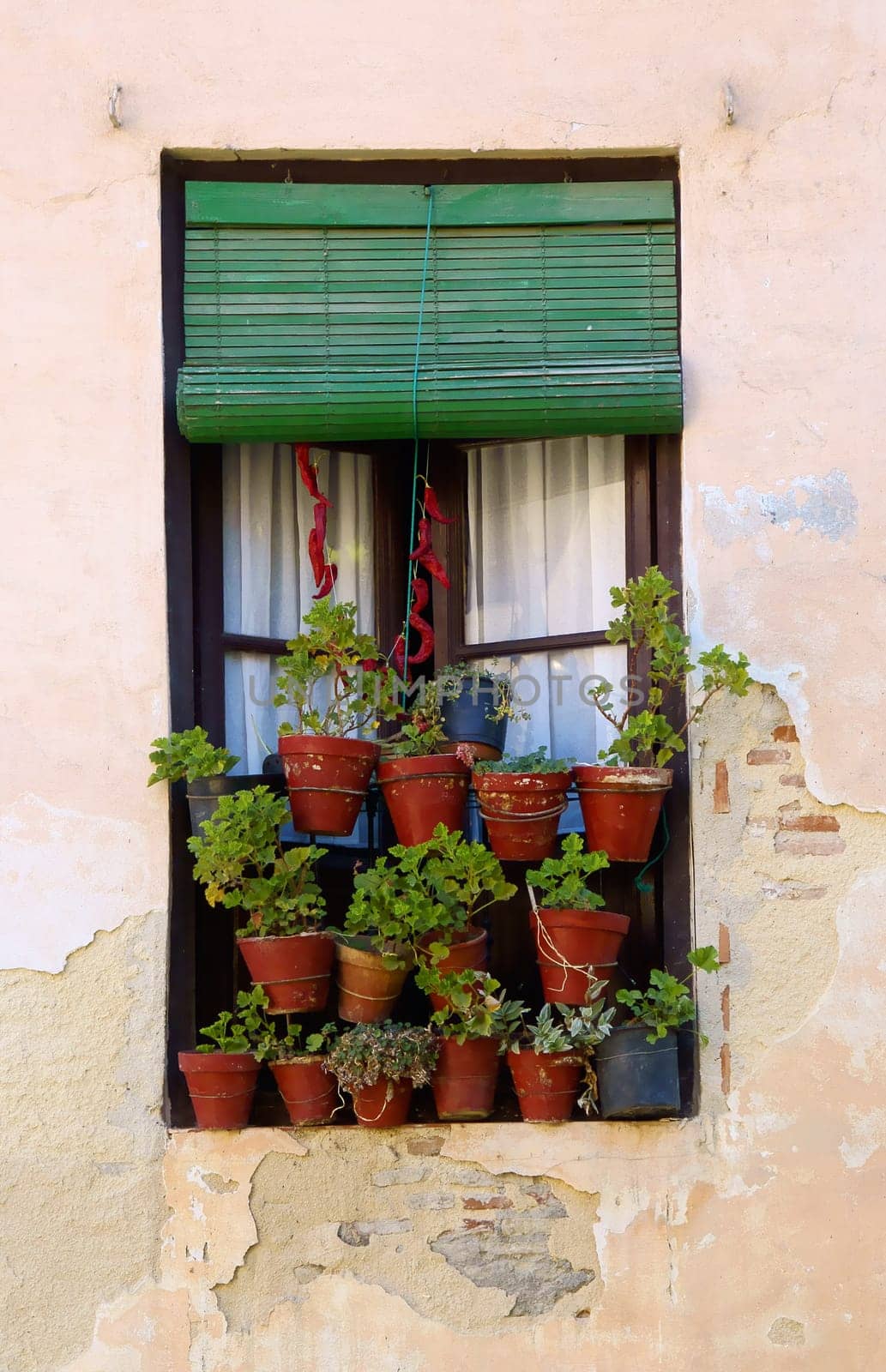Old Window