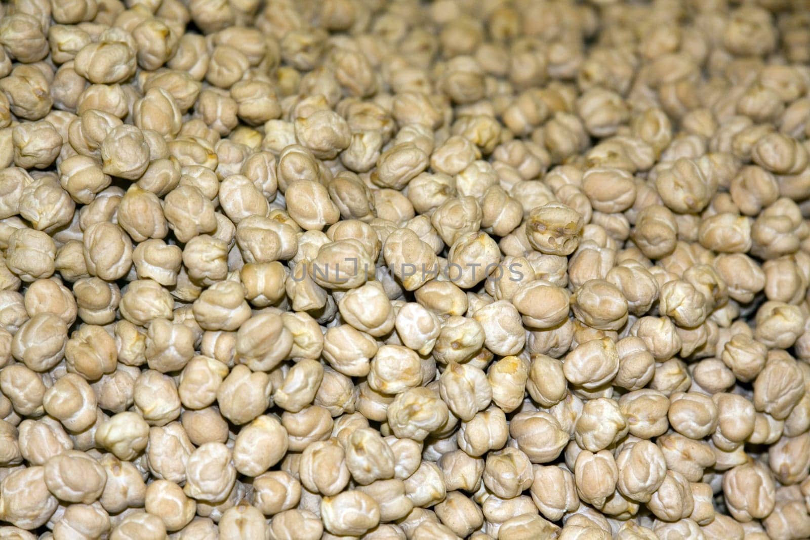 Bean varieties