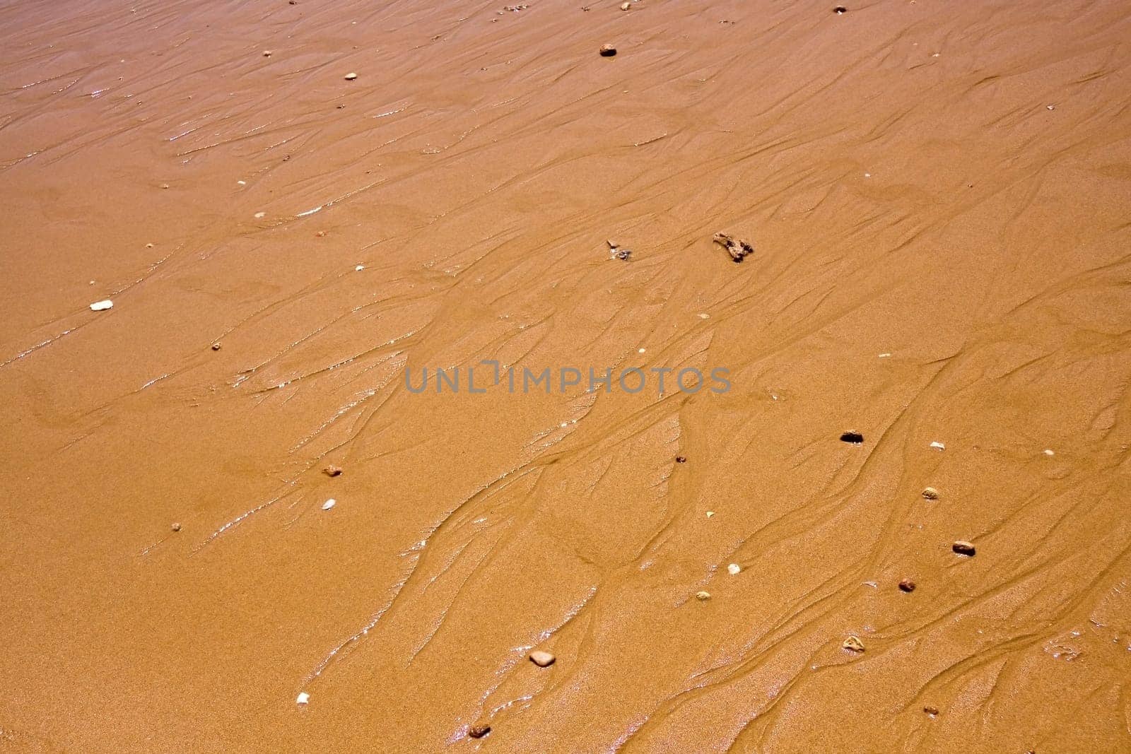 Sandy Beach,Background
