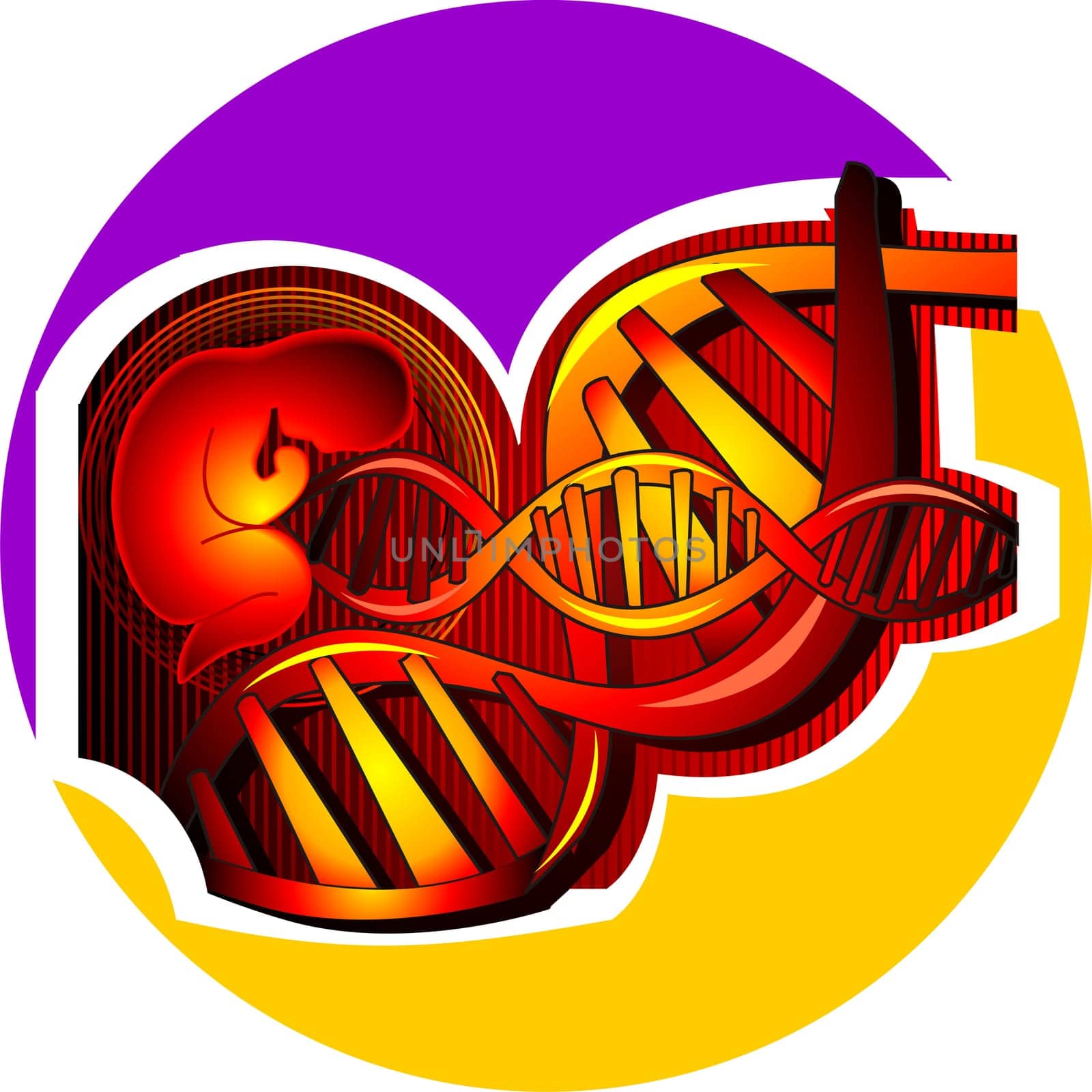 DNA