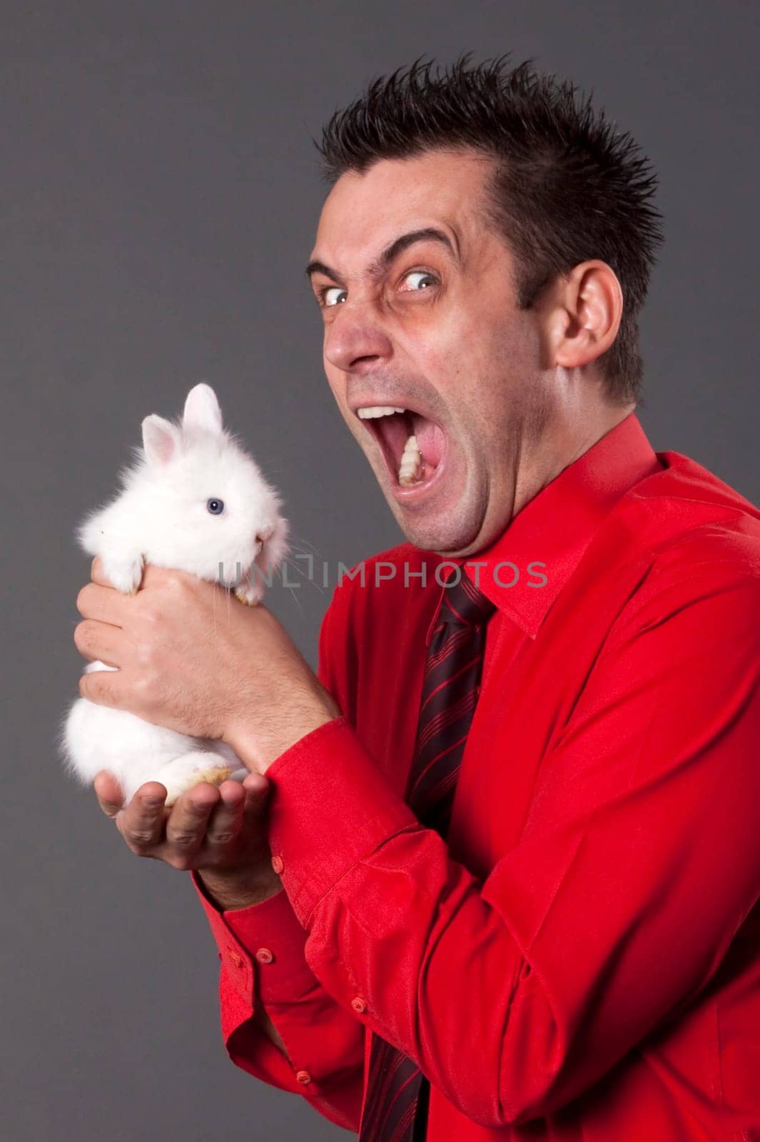 Funny young man holding baby rabbit