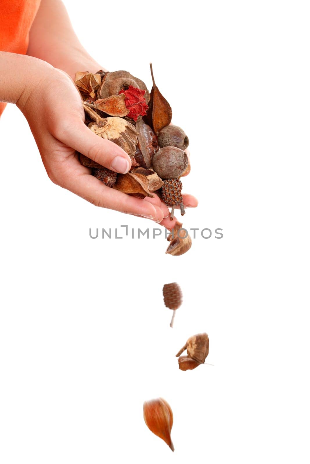 Natural  bush potpourri