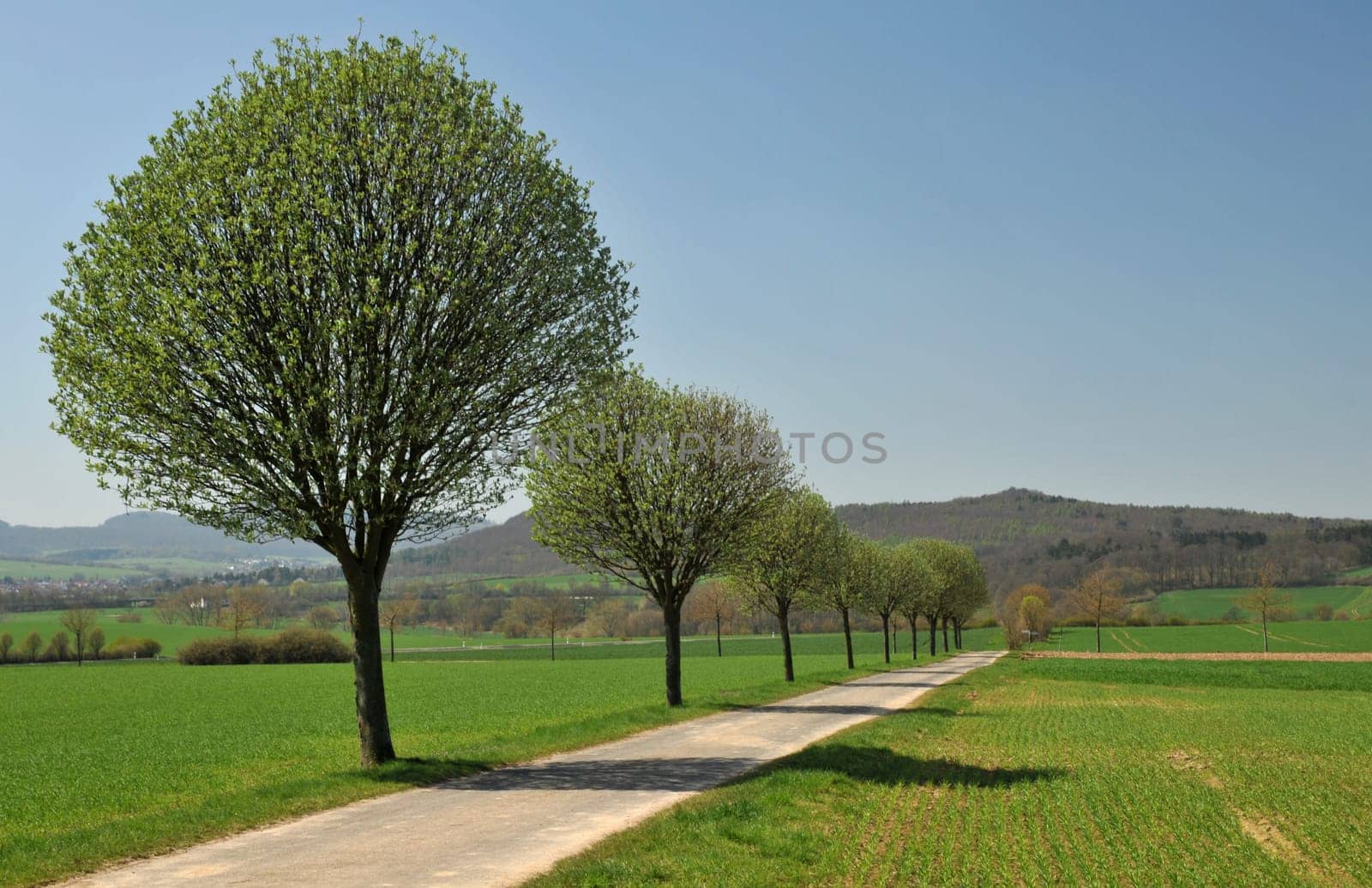In North Hesse...