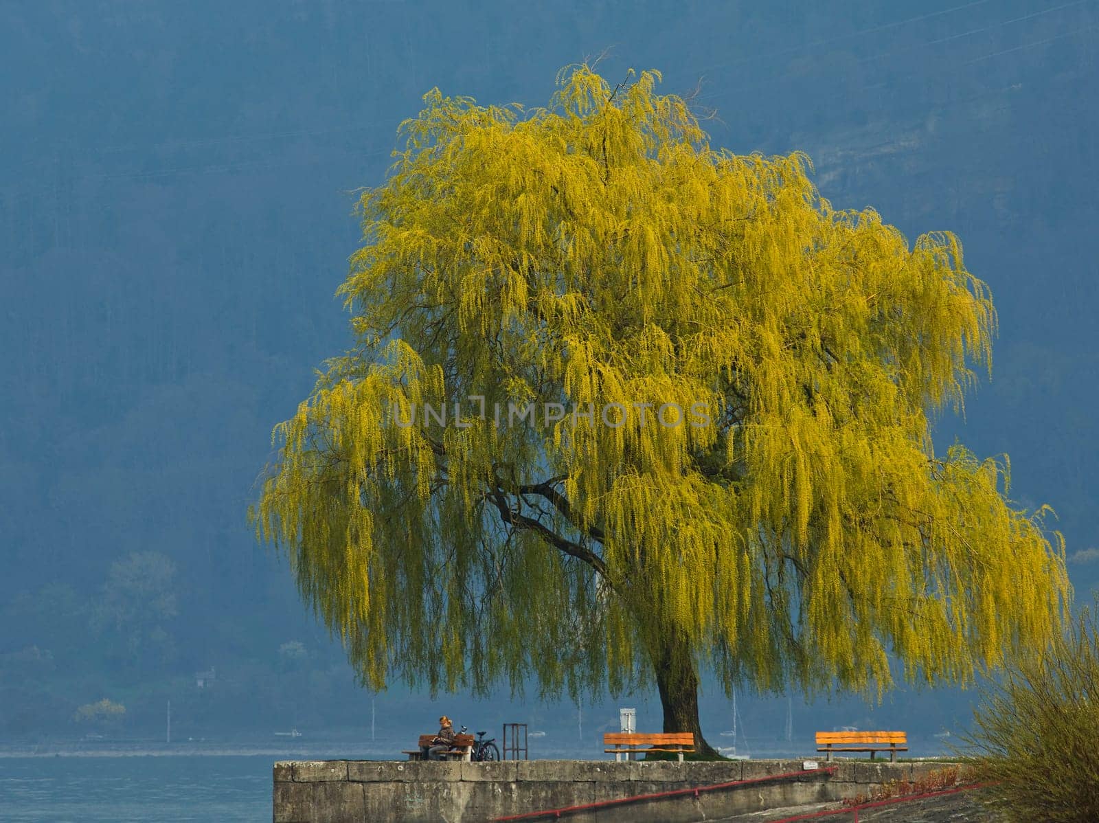 At Lake Constance in Austria