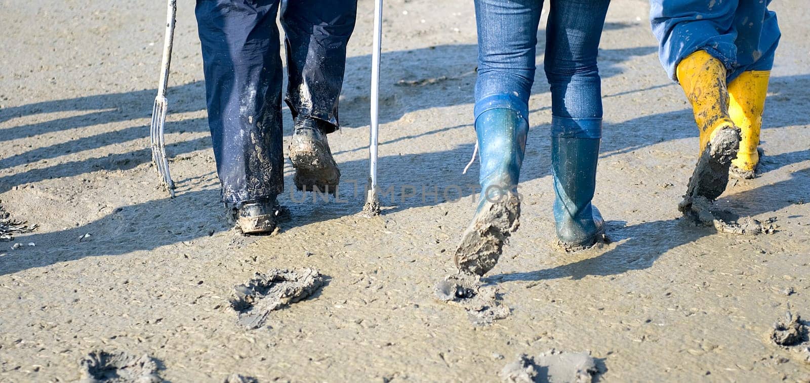 Mudflat hike