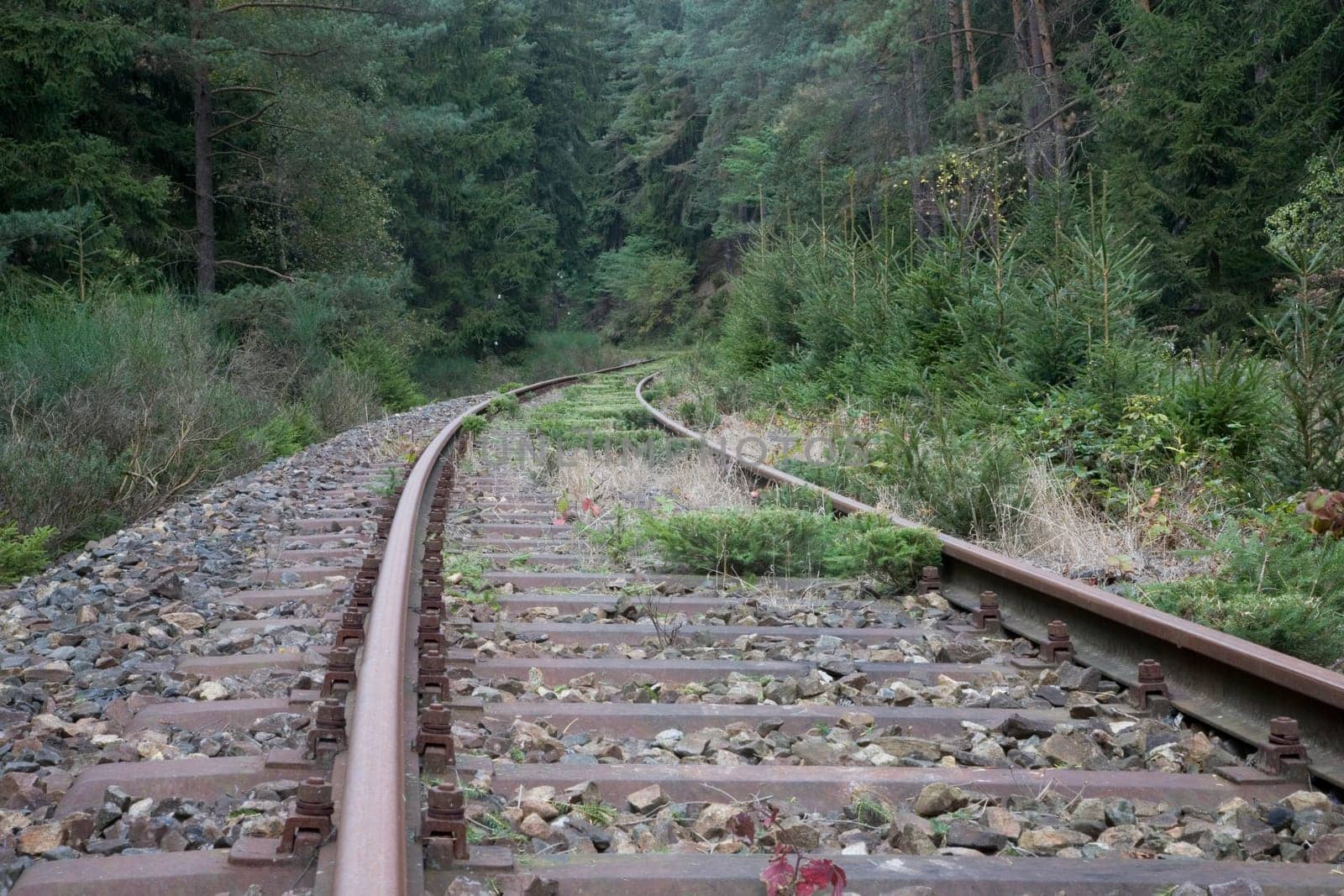 old tracks railway line