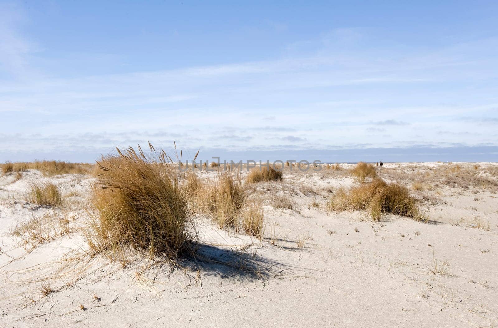 Dunes