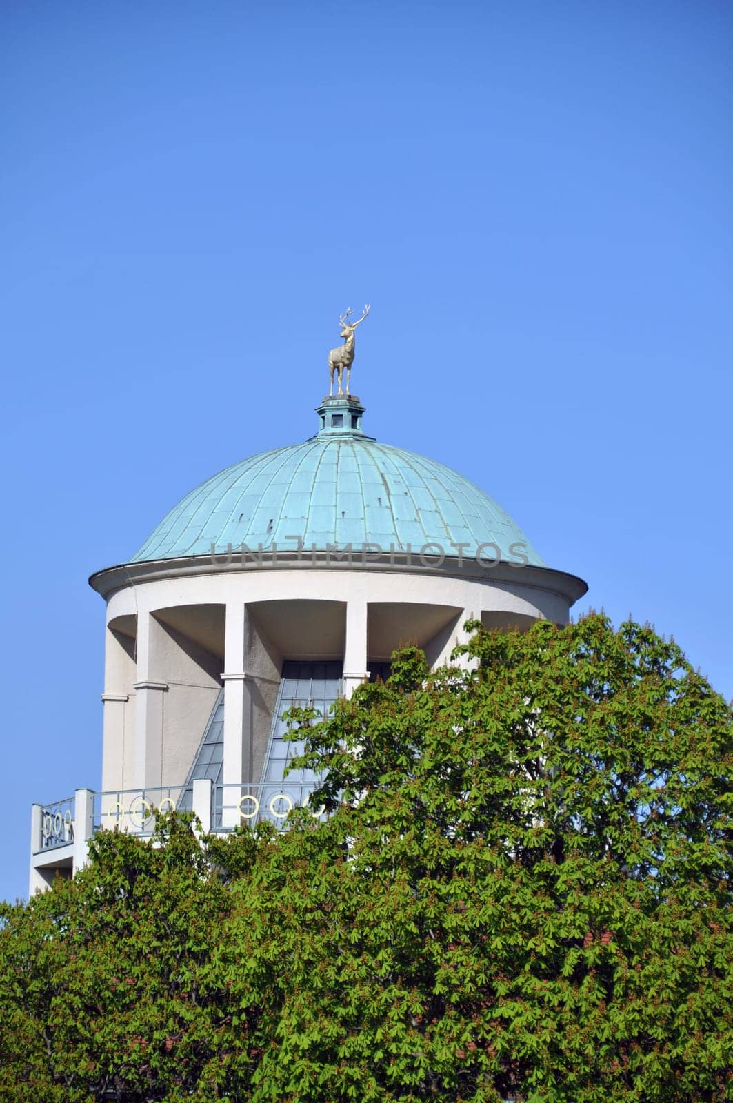 Roof of Stuttgart Art Building