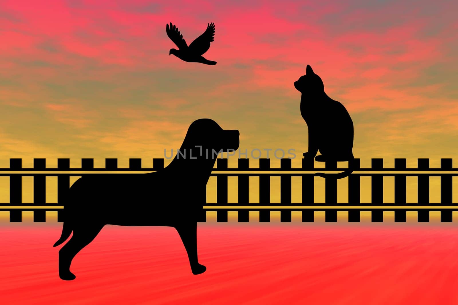 Silhouette