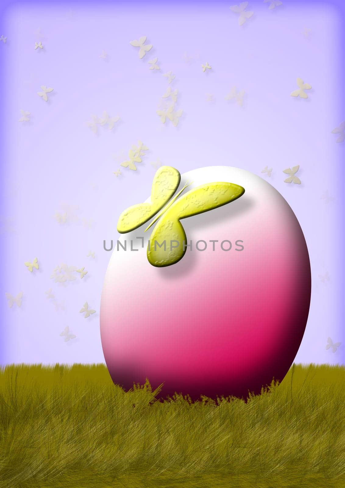 Egg of the Dhows
