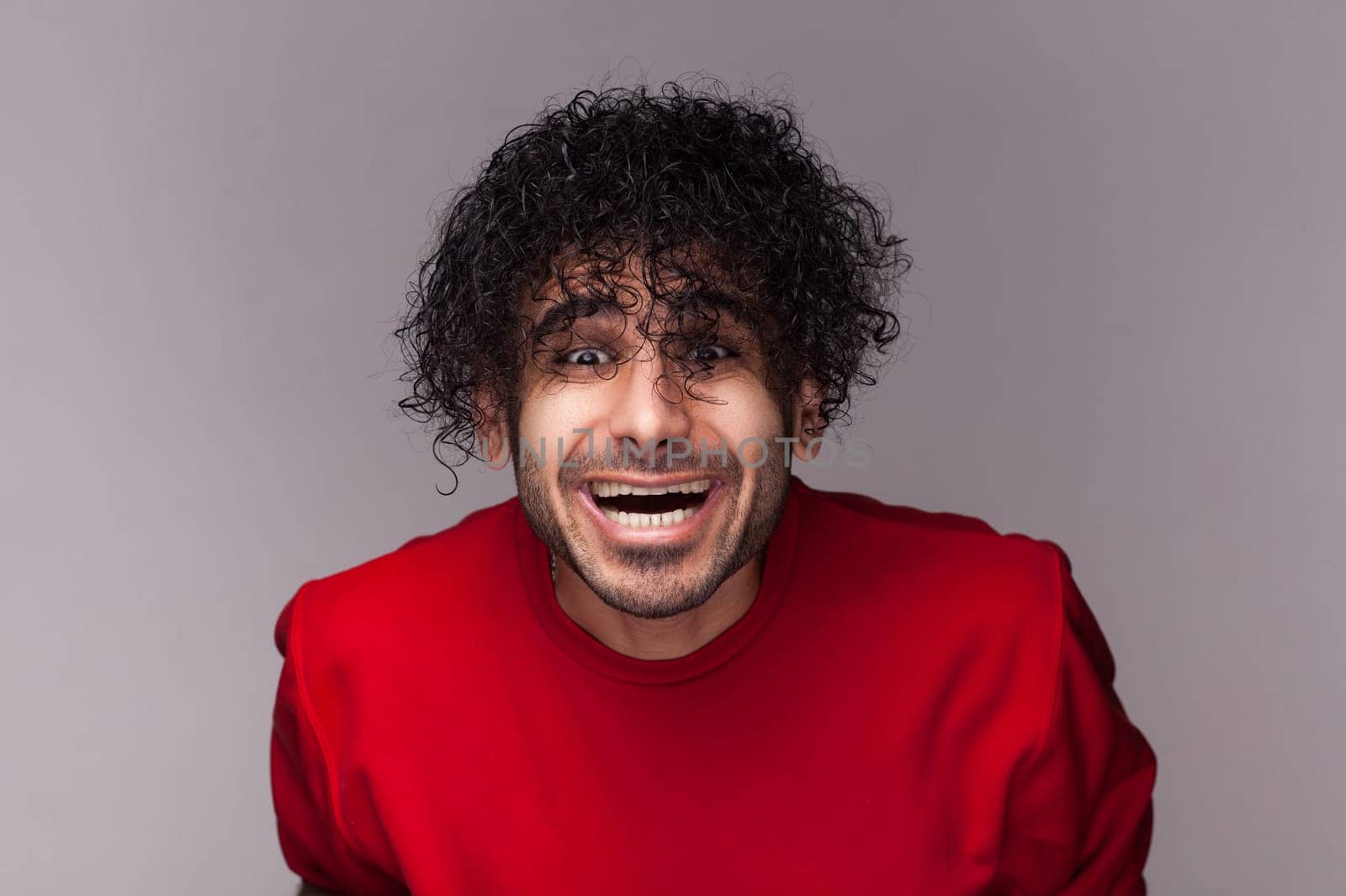 Portrait of amazed happy positive bearded man with curly hair, looking at camera and laughing, sees at his funny hairstyle, wearing red jumper. Indoor studio shot isolated on gray background.