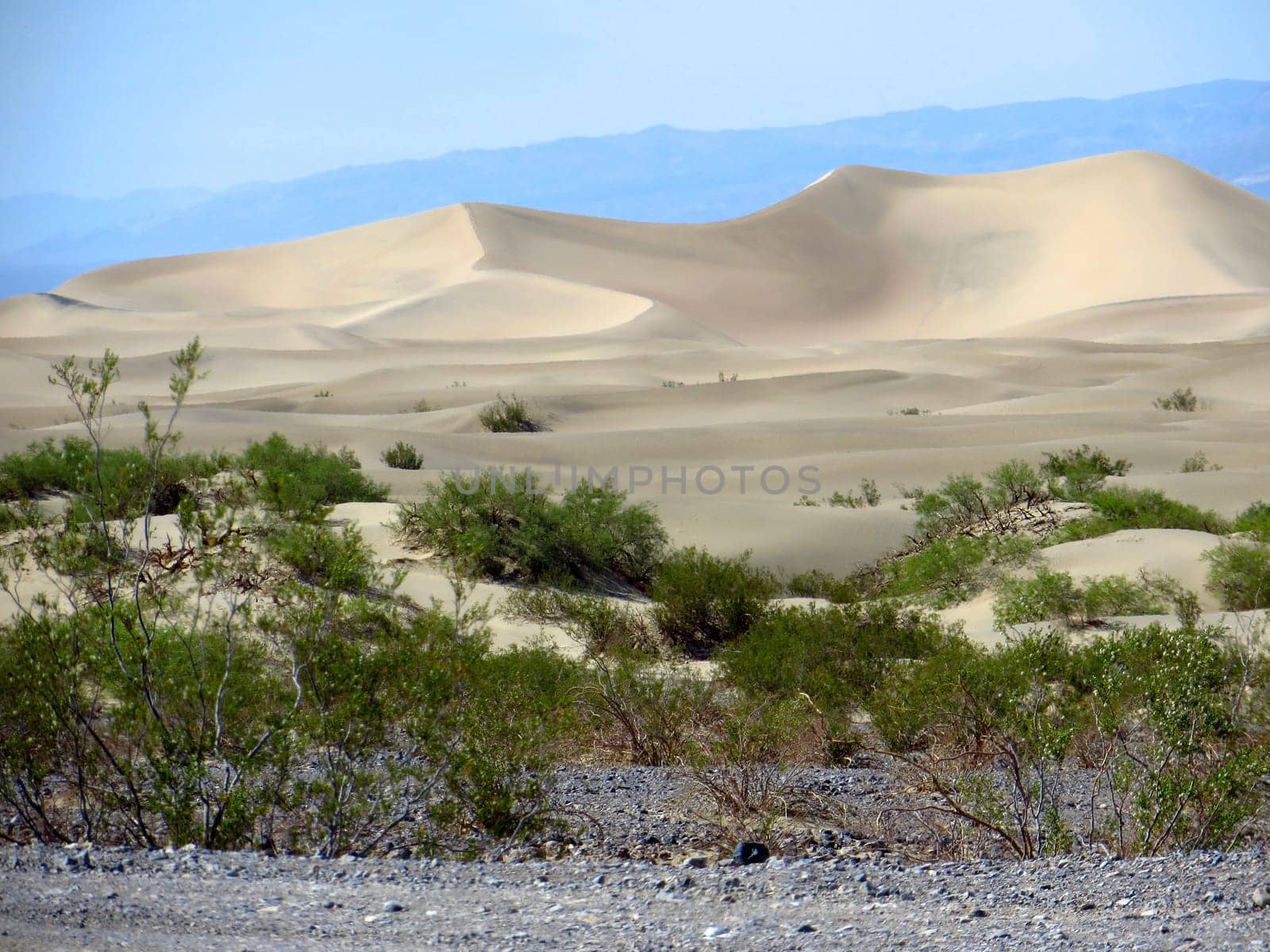 Mesquite Flat Sand Dunes in Death Valley National Park, California. High quality photo