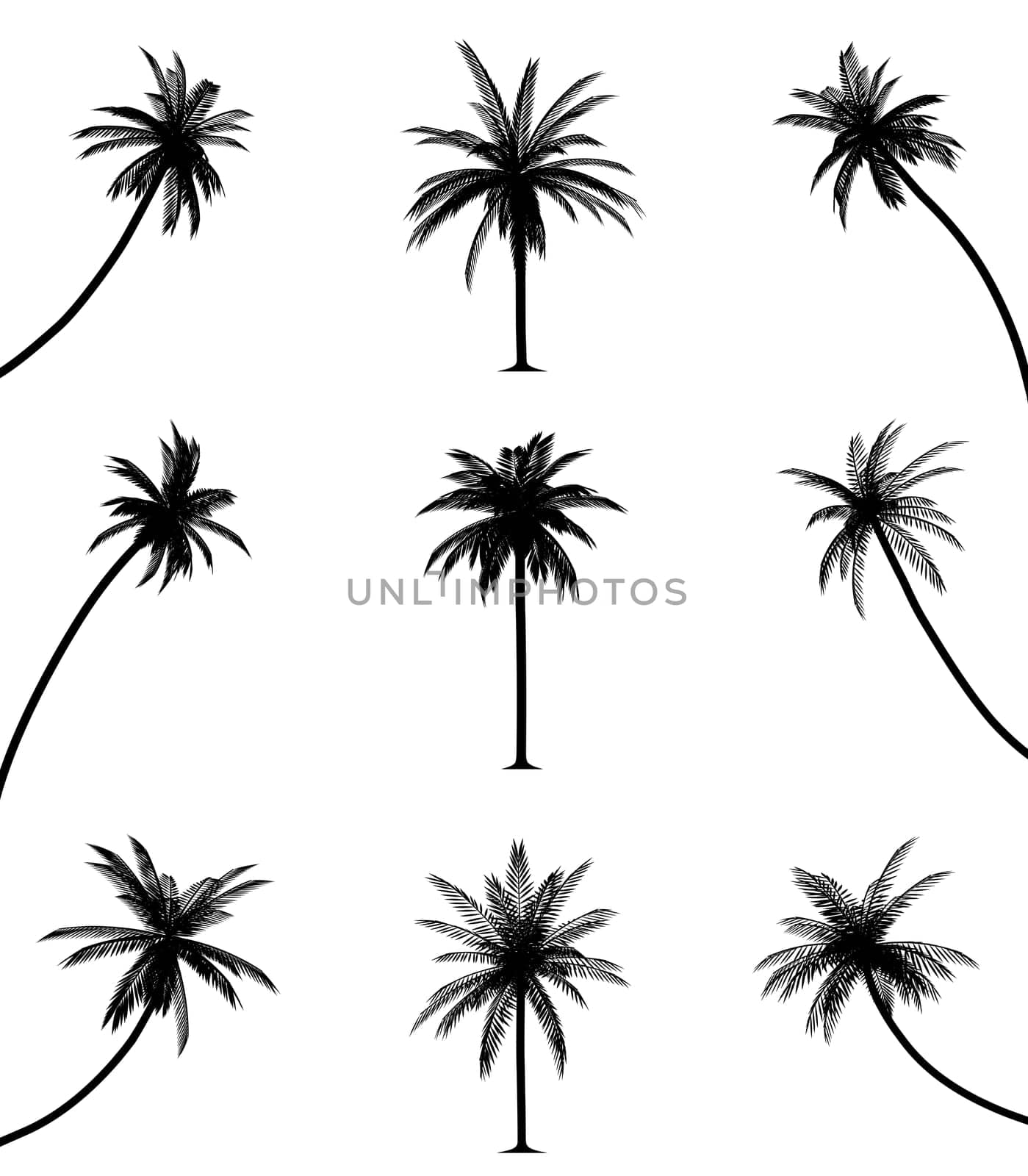 Palm trees