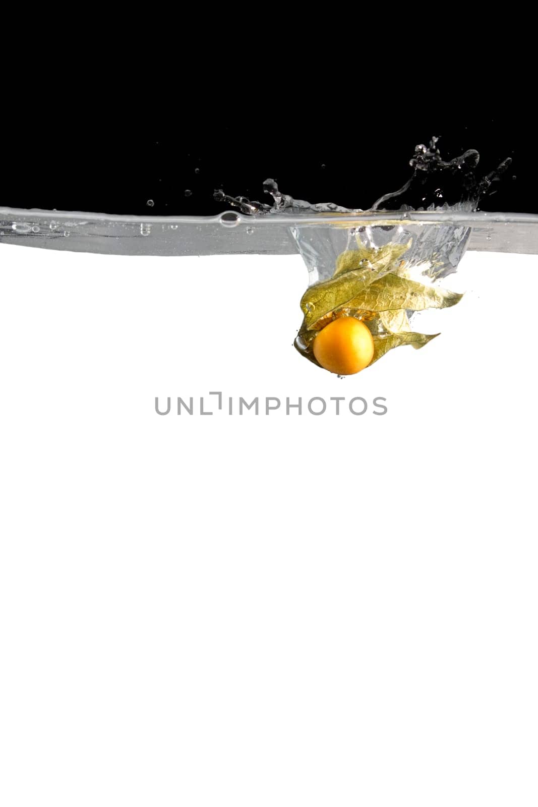 Physalis in water