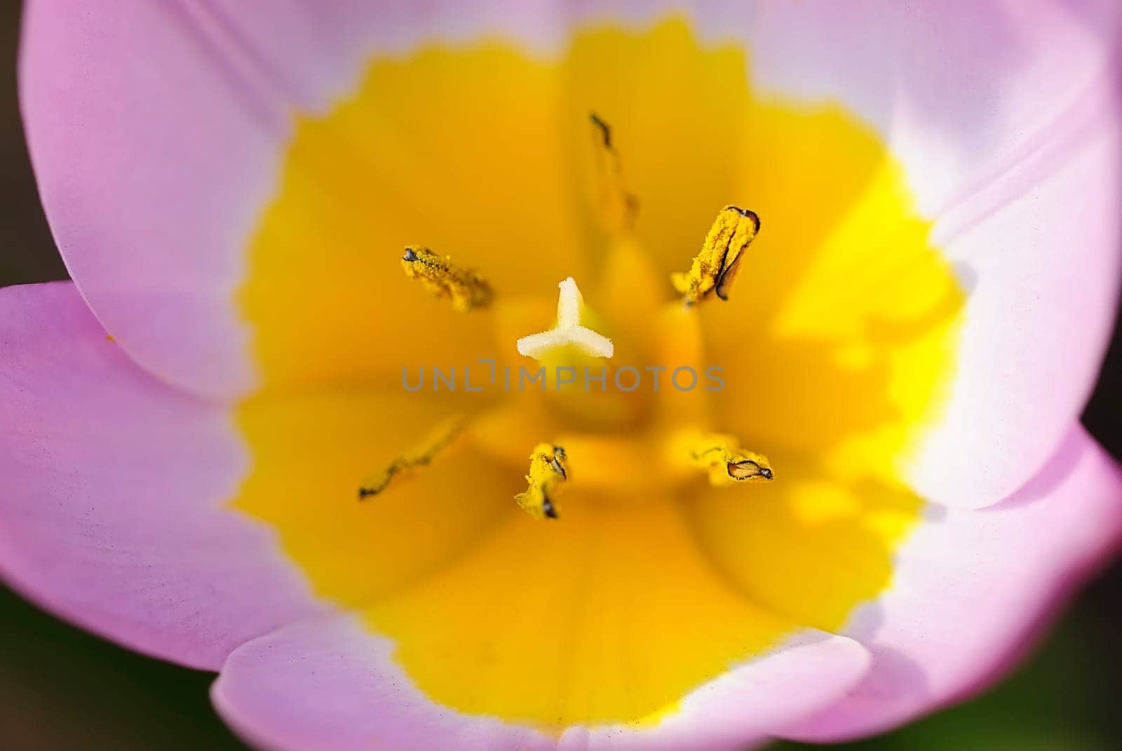 Inside 1